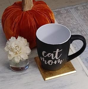 Meet your Posher, Briggette